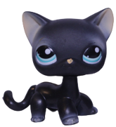 #0994 Shorthair Cat